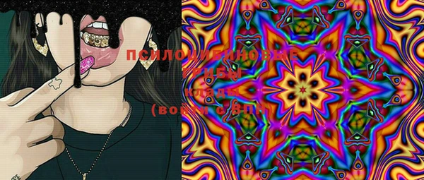 ПСИЛОЦИБИНОВЫЕ ГРИБЫ Осташков