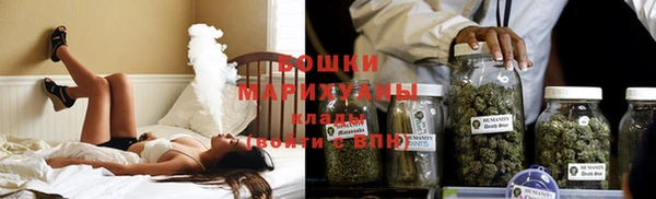 гашик Пестово