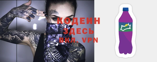 ПСИЛОЦИБИНОВЫЕ ГРИБЫ Осташков