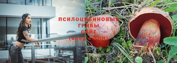 дживик Переславль-Залесский