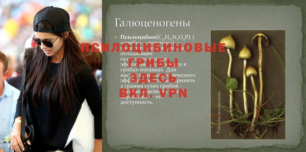ПСИЛОЦИБИНОВЫЕ ГРИБЫ Осташков
