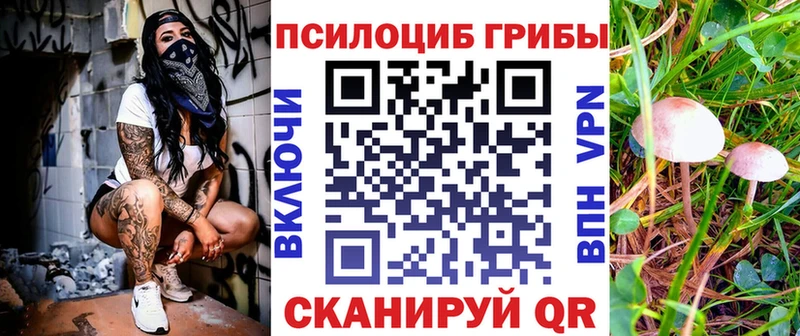 Купить где  Тамбов  Псилоцибиновые грибы Cubensis 